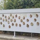 대룡마을회관 이미지