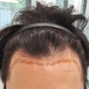 모디헤어 이미지