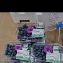 룰루베리팜 이미지