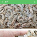 싱싱 부산물