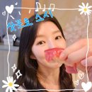 스시타누키 | 삿포로 스시 스스키노 2대째 초밥 타츠요시 오마카세 예약