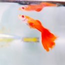 오토월드정비 이미지