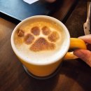 효원로307번길 | [공지] 나혜석거리 대형카페 955카페 데이트 마무리코스