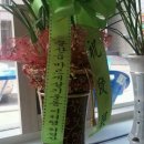 문산2리 이미지