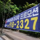 영월광고기획