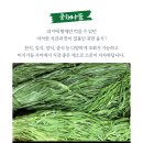 황제식자재마트