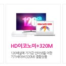 용인사 이미지