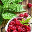 선녀와나무꾼 이미지