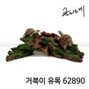 클리오네 이미지