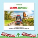 아라짱투어