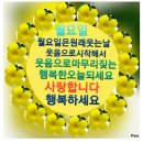 오늘하루 이미지