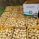 송함농장 이미지