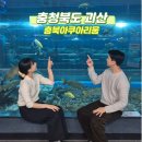 충청북도 괴산 충북아쿠아리움 국내 이색 여행지 가볼만한곳