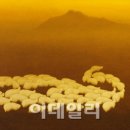 자연 + 인간 + 이미지