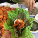 산호가든 이미지