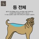 도긴더샵 이미지