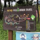 빛가람 유아숲체험원 이미지