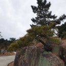 ＜277차＞ 백봉 정기산행 충남 홍성 용봉산 이미지