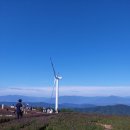 장풍숲위 이미지