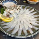 제주회수산 | 제주 모슬포항 물회 맛집 갑오징어 회 힛뜨수산 식당 내돈내산 후기