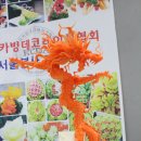 용카마스터 이미지