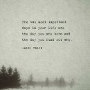 나홀로집밥 이미지