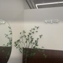 헤어블리유