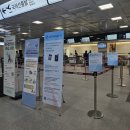 1432 | 대구->인천 KE1432(737-800) 대한항공 내항기 후기