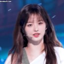 대전버드내초등학교 이미지