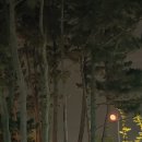 몽산포자동차야영장 이미지