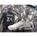 Nike / LeBron 14 Low Light Bone A7C 르브론 XIV 로우 농구 / 270 이미지