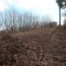 사관리마을회관 이미지