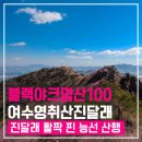 3월28일(목) 여수 영취산(진례봉) 진달래꽃 산행안내 이미지