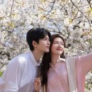 선자문 | ​[중드 추천] 장릉혁 서약함 주연 로맨스 드라마 《애니(爱你)》 하이라이트 영상과 후기