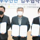 개량양돈 이미지