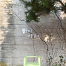 박시한의원 이미지