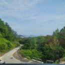 임해로(동) 이미지