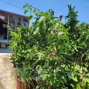 남해민박 이미지