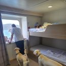 애월 은 stay | 대형견동반 배타고 제주도가기 애견동반펜션