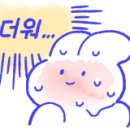 가장맛있는족발고양 이미지