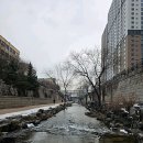 소양강메기매운탕 이미지