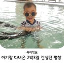 켄싱턴평창사우나 | 켄싱턴리조트 평창 아기랑 수영장 사우나 온돌방 후기