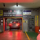상무막창구이 | [광주] 상무지구맛집 안자고 한우곱창에서 곱창, 막창, 전골까지 야무지게 먹고 옴