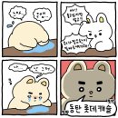 8월¹