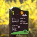 문암생태공원(반려견놀이터) 이미지