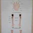 하당우리한의원 이미지
