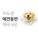맑은산장농원 | 강아지와 함께하는 수도권 애견 동반 계곡 9