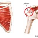 크로스핏굴포천 이미지