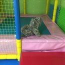 봄샘어린이집 이미지