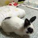 손바느질 이미지